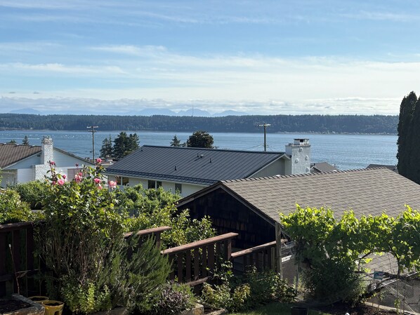A residential area with a view of a lake, houses with sloped roofs, and a wooden deck.