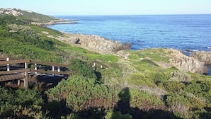 Un paysage côtier avec une terrasse en bois, un terrain rocheux et une vue dégagée sur l’océan.