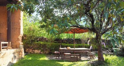 Step Back in Time at L’Auberge de Meo Vac: A Century-Old H’mong Estate