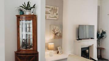TV, fireplace, books