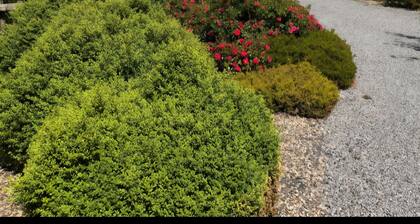 Tunmobi Gardens Apartment
Cosy, Spacious, secure, Beautiful Gardens. Free park