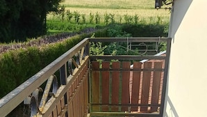 A covered outdoor area with a metal railing, a concrete floor with white lines, and a view of a green field in the background.