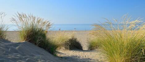 In Strandnähe