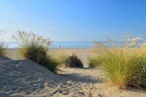 Una spiaggia nelle vicinanze