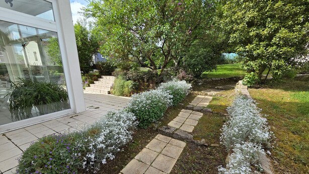 Un sendero de jardín con losas de piedra, rodeado de plantas blancas con flores y arbustos verdes.