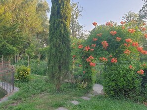 Um jardim com uma árvore alta, arbustos floridos e uma cerca de metal.