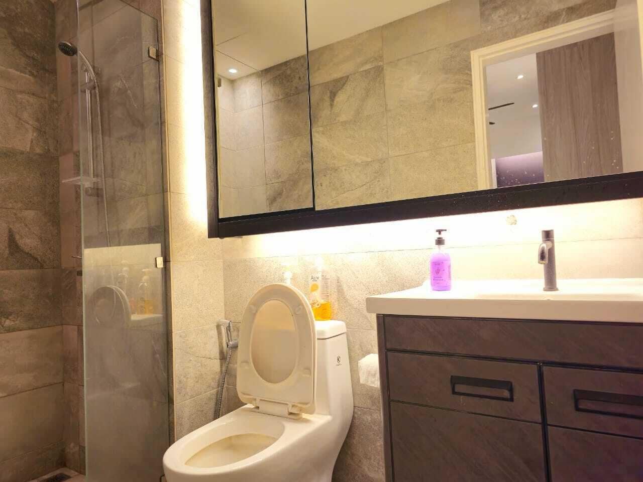 A bathroom with a toilet, a shower, a sink, and a mirror.
