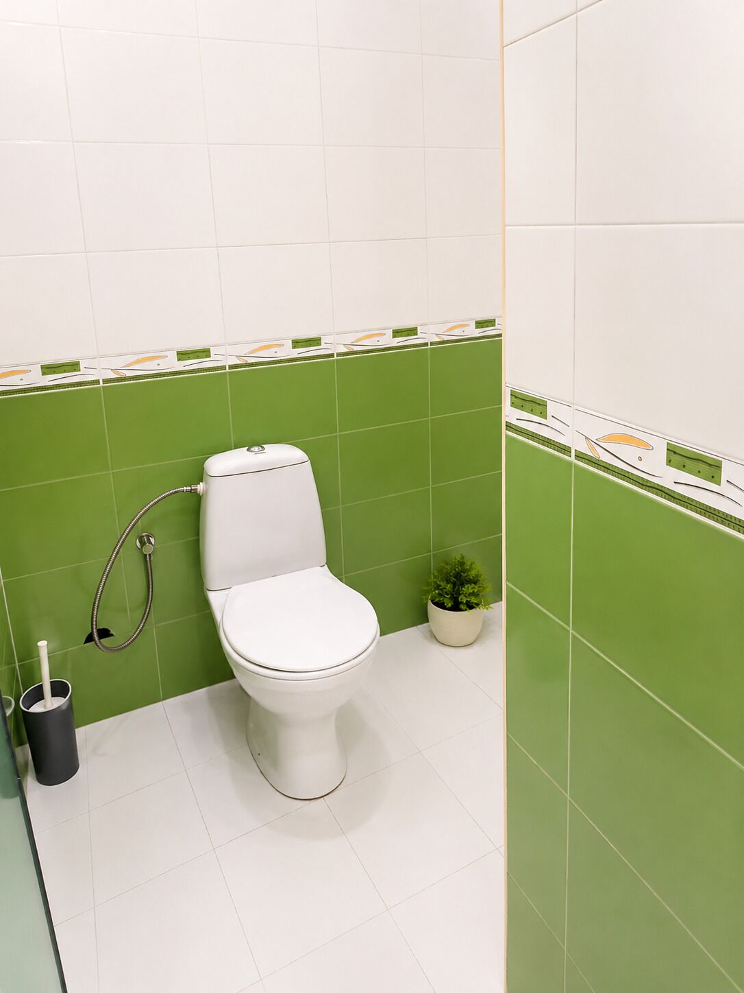 A bathroom with a toilet, a shower, and a small potted plant.