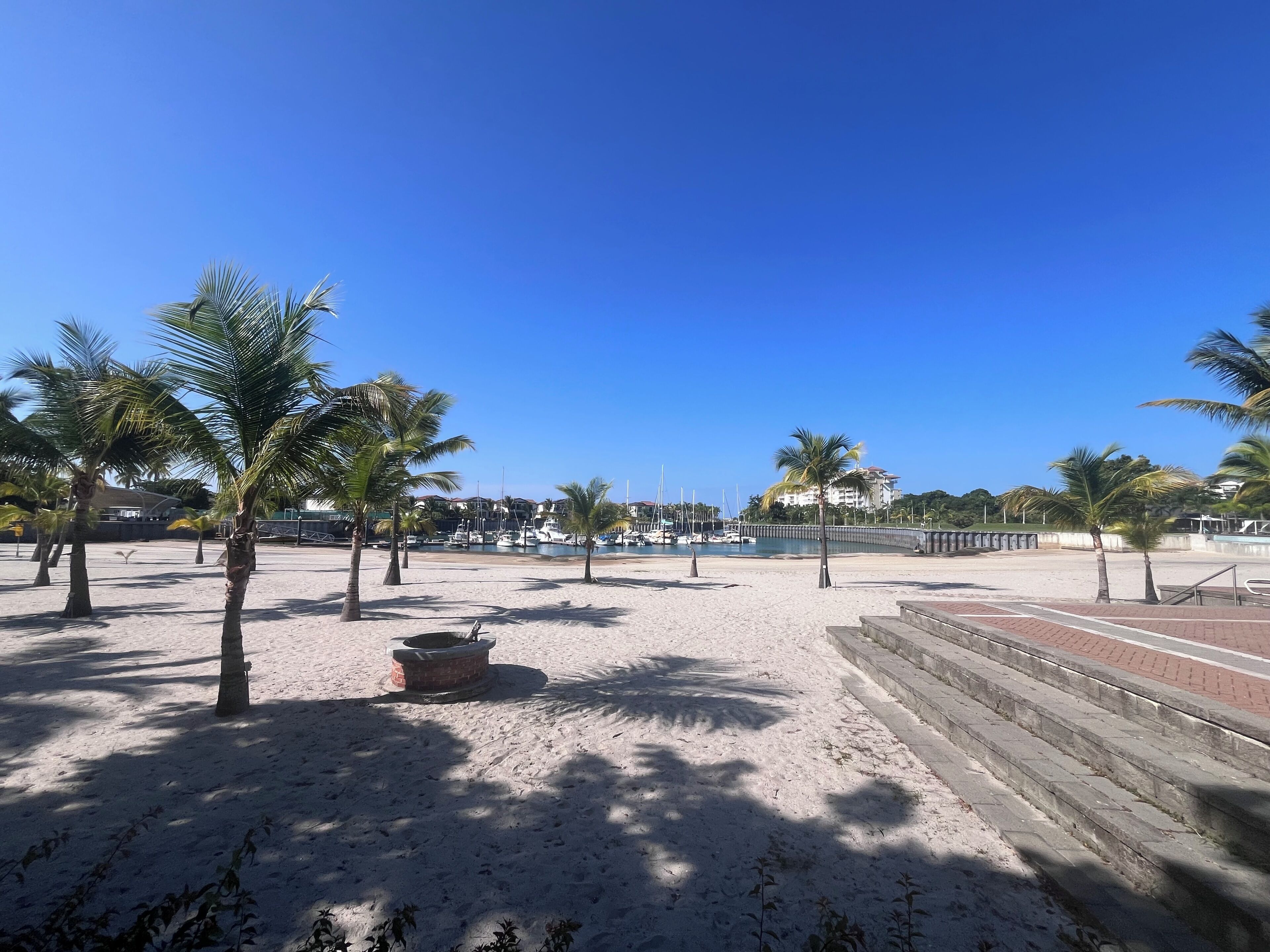 Une plage bordée de palmiers, une étendue de sable et un port de plaisance avec des bateaux.