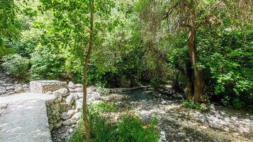 Jardines del alojamiento