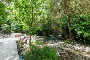 Uma trilha de pedras leva a uma pequena construção de pedra em uma área florestal exuberante e verdejante, com um riacho.