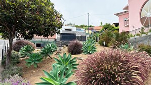 A garden with various plants, a tree, and a building in the background. - THE L Lodge, Ocean View Private Garden Cottage (Tabua)