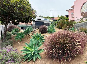 A garden with various plants, a tree, and a building in the background. - THE L Lodge, Ocean View Private Garden Cottage (Tabua)
