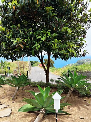 A tree-lined road with a clear view of the ocean. - THE L Lodge, Ocean View Private Garden Cottage (Tabua)