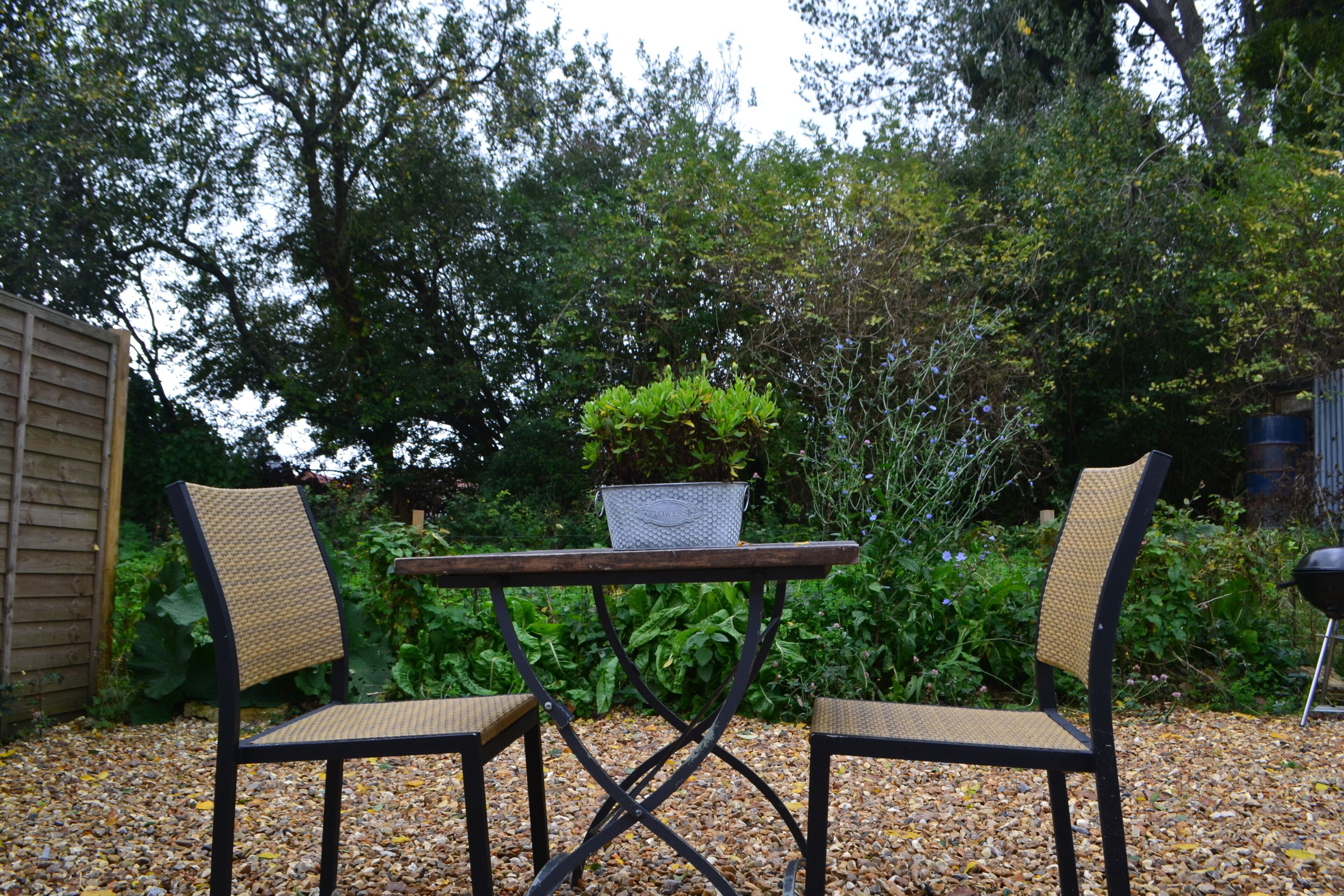 A garden patio with two chairs and a table, surrounded by greenery and a wooden fence.