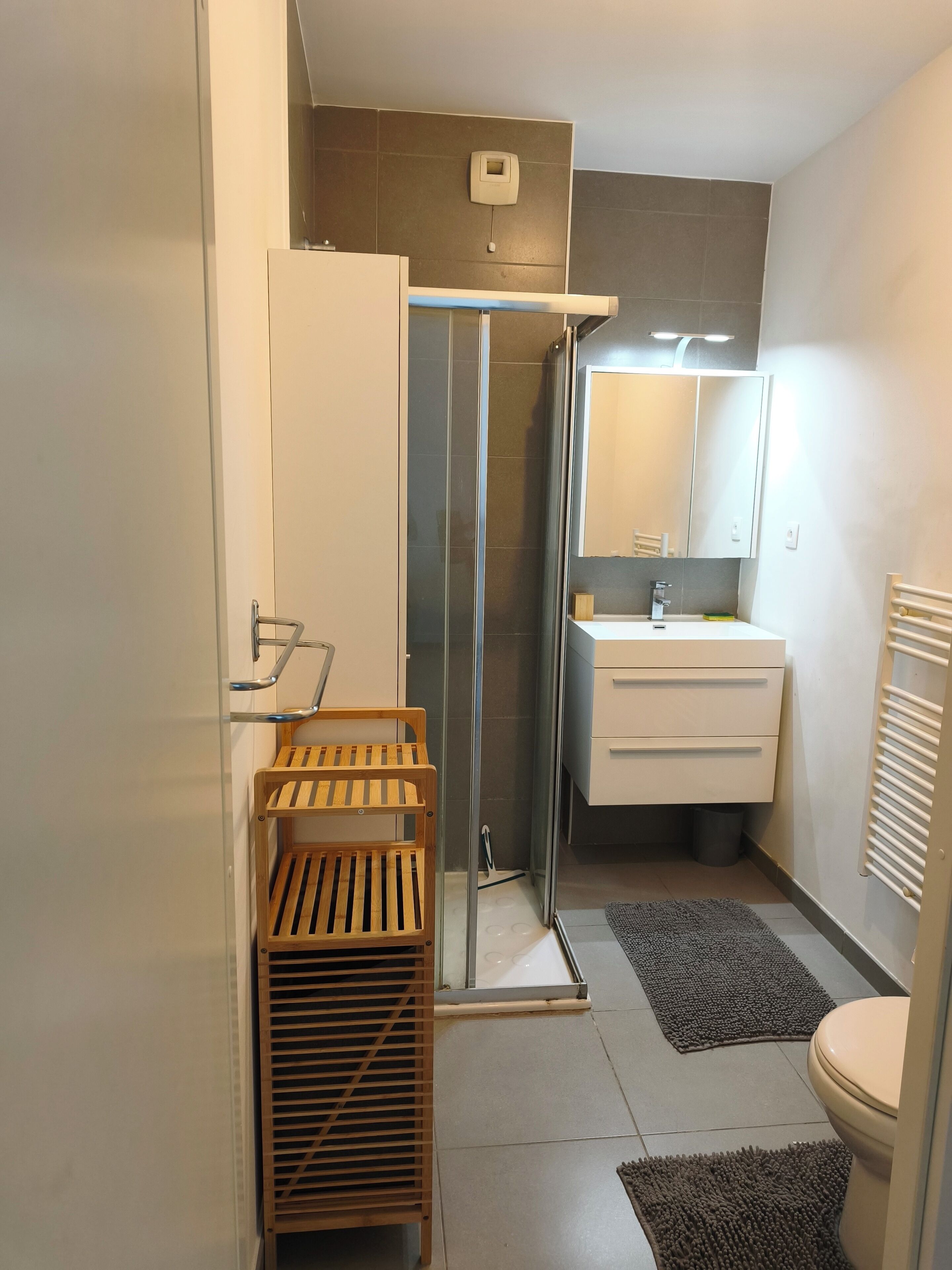 Une salle de bain moderne avec une douche à parois de verre, un étendoir à linge en bois, un lavabo blanc avec un miroir et des toilettes.