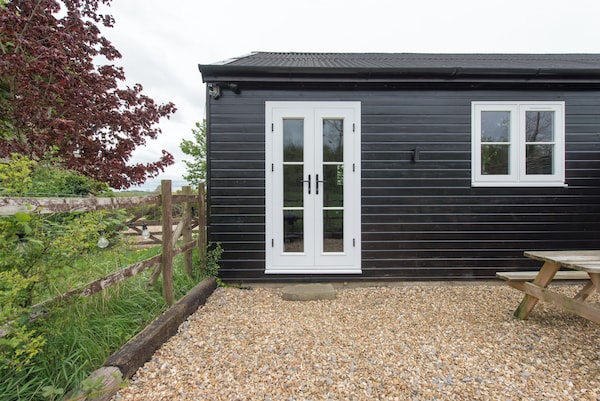 Cottage Poppy - Bristol