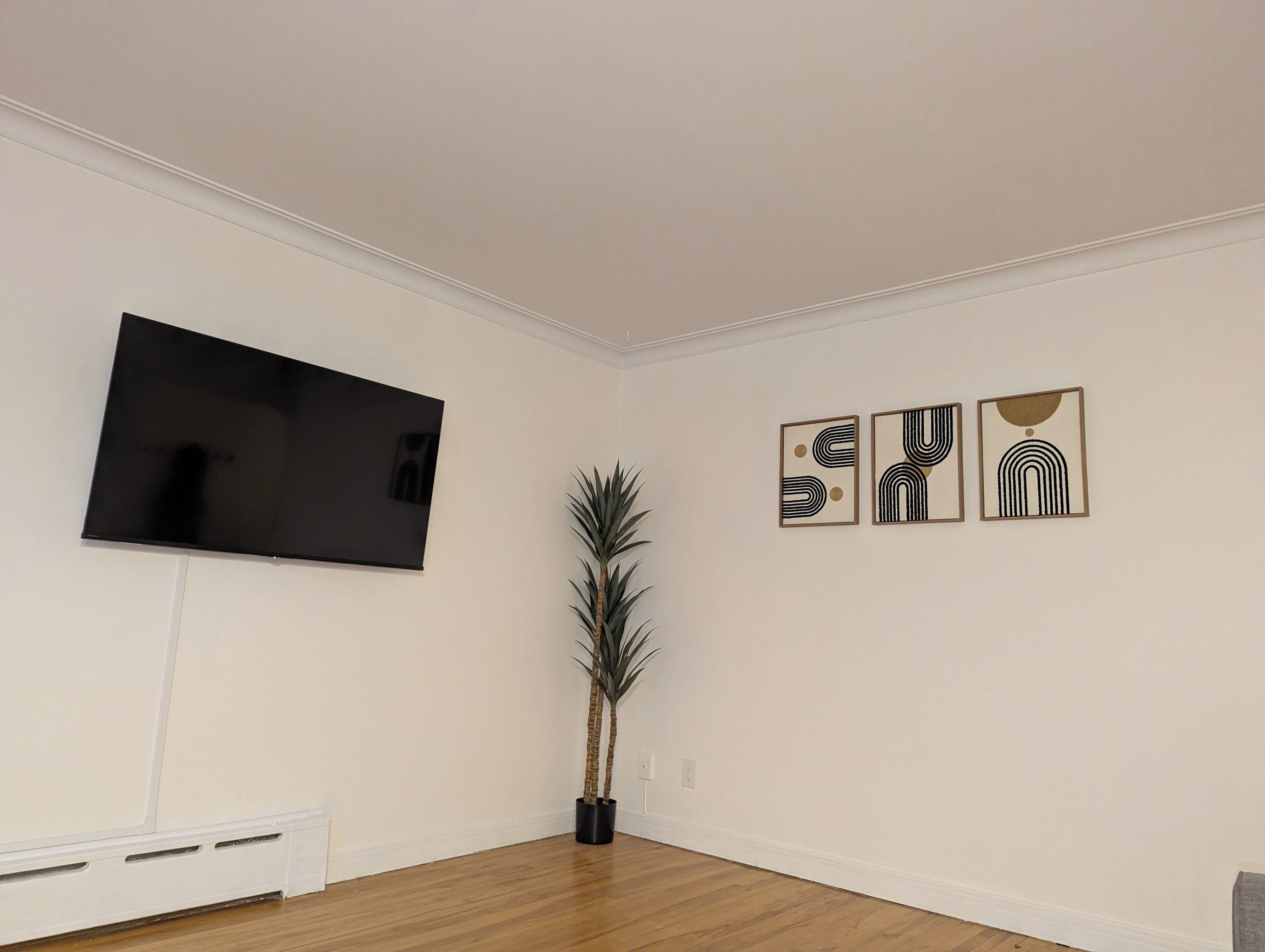 Una habitación con una televisión de pantalla plana montada en la pared, una planta en maceta y tres cuadros abstractos enmarcados.