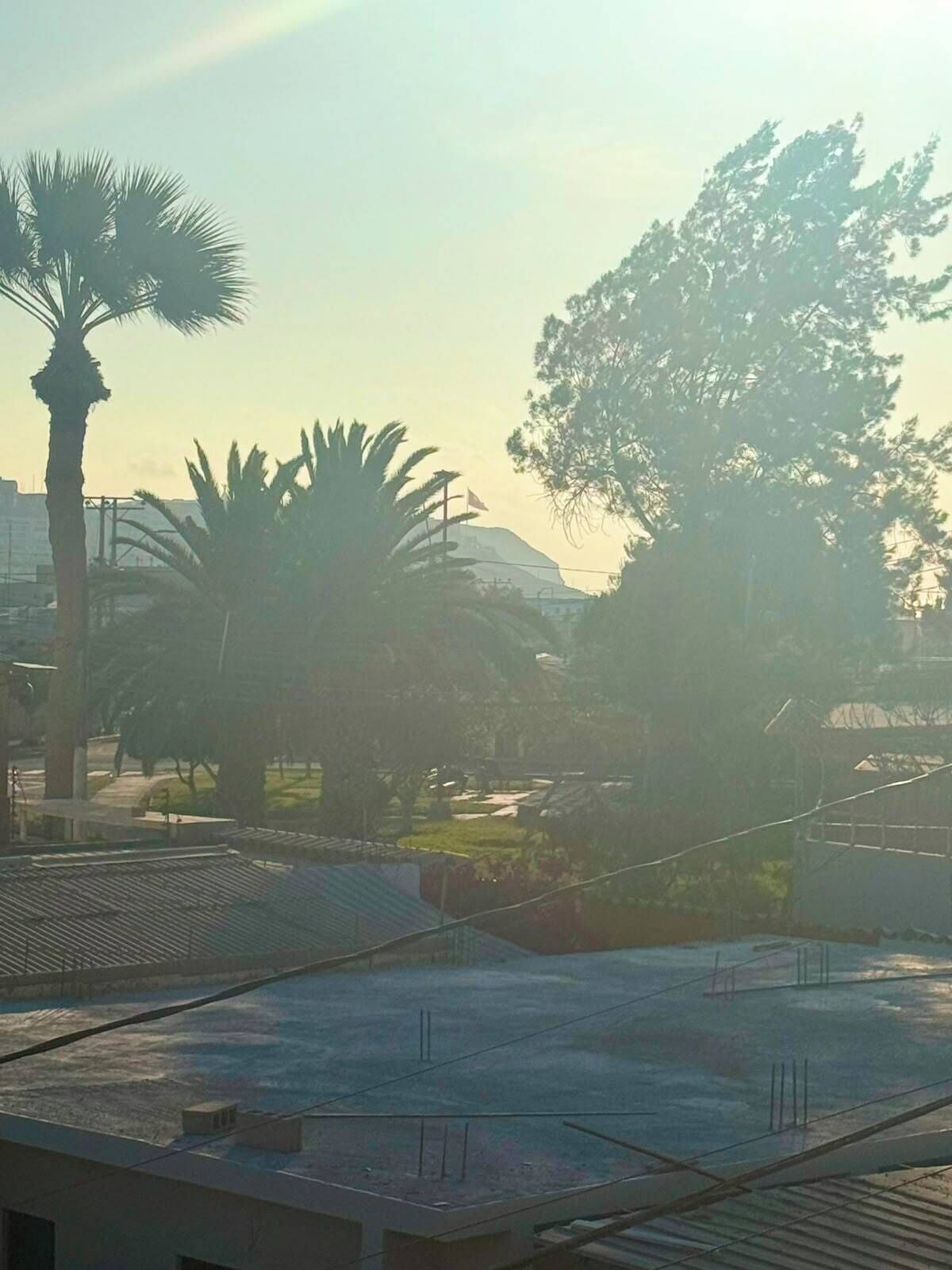 Terraza en la azotea con vistas a palmeras y una montaña distante.