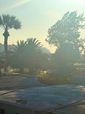 A rooftop terrace with a view of palm trees and a distant mountain.
