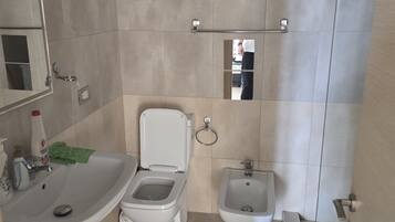 Shower, bidet, towels, soap