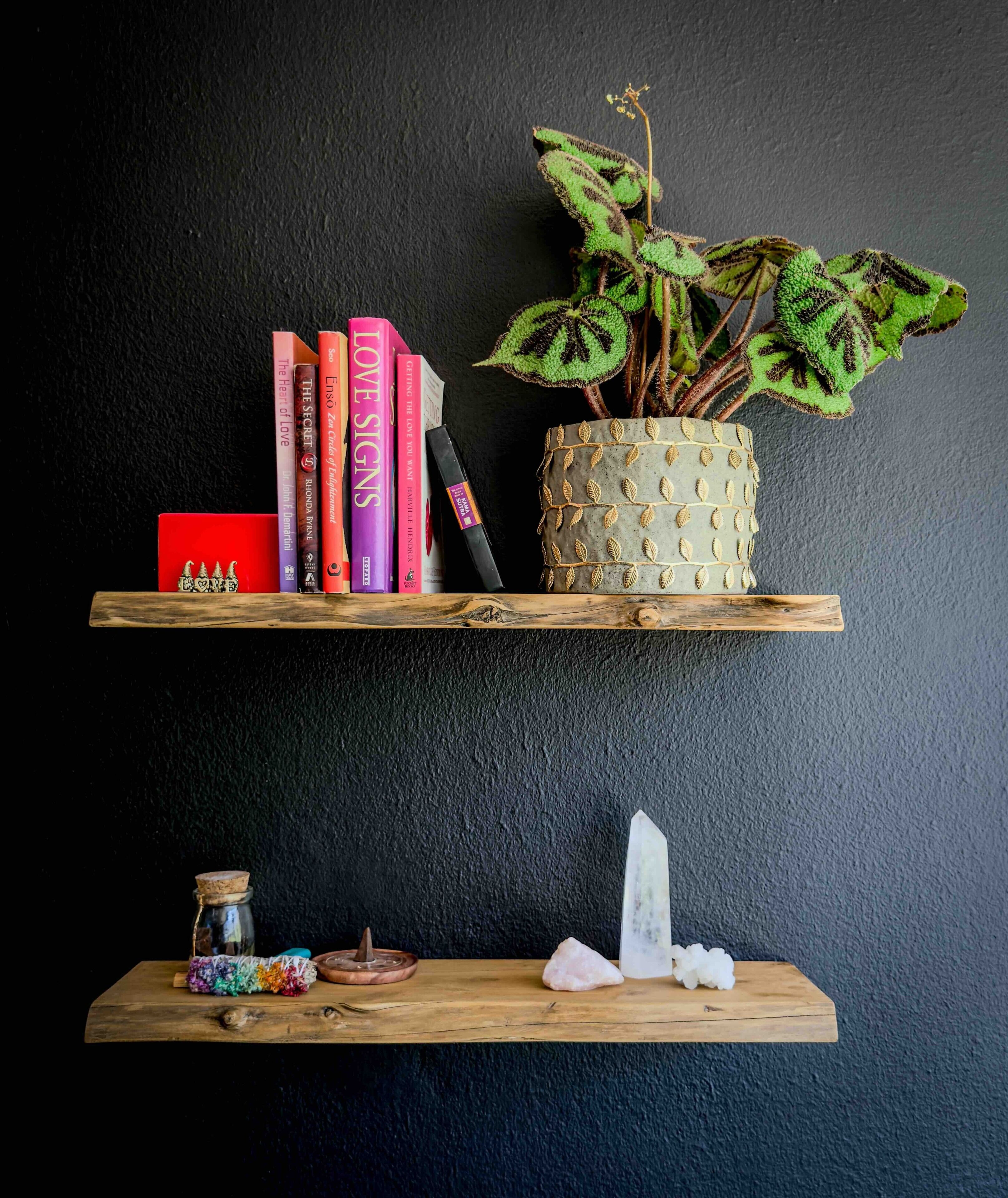 Two wooden shelves against a dark wall, one with books and a potted plant, the other with a crystal, candle, and jar.