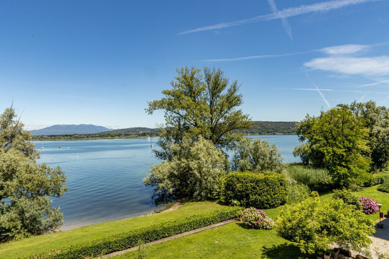 A lakeside view with a clear sky, a large tree, and a well-maintained grassy area.