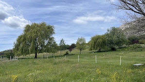 Un campo cubierto de hierba con árboles y una valla.