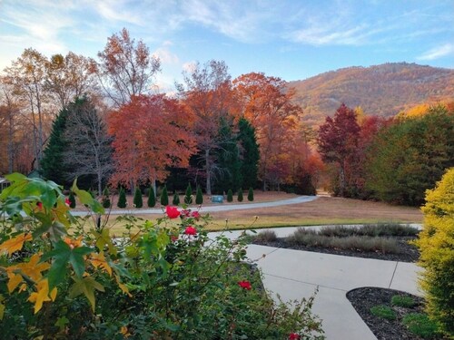 Romantic Blue Ridge Mountain Studio Apt. Escape Near Landrum, Greer, Asheville