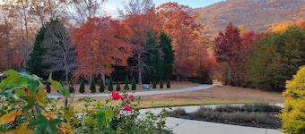 Romantic Blue Ridge Mountain Studio Apt. Escape Near Landrum, Greer, Asheville