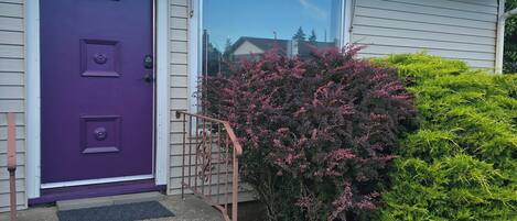 Une maison avec une porte violette, une fenêtre et un petit jardin devant, agrémenté d’arbustes.