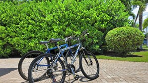 A blue bicycle parked on a paved surface with a lush green hedge in the background. - Luxury Gulf-Access Retreat with Pool, Dock & Sunsets (Bonita Springs)