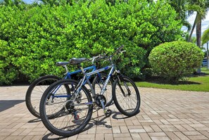 Ein blaues Fahrrad steht auf befestigter Fläche vor einer üppigen, grünen Hecke.