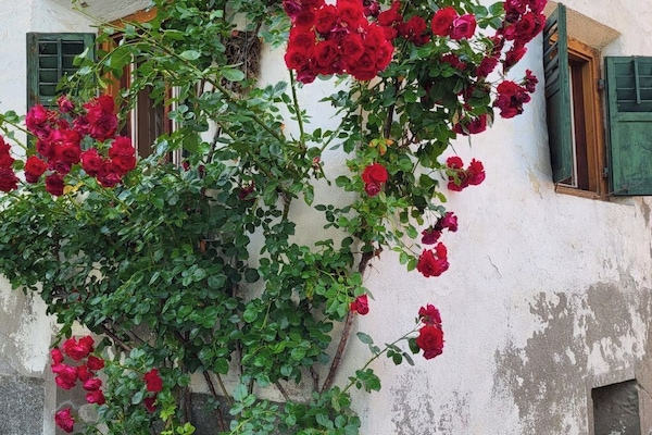 Outdoor
