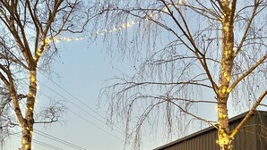 Een modern gebouw met een pad van natuursteen, terrasmeubilair en lichtjes in de bomen.