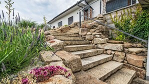 A stone staircase leading up to a building with a metal railing, surrounded by various plants and flowers.