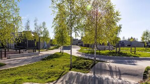En park med en betondskate-rampe, græs og træer.