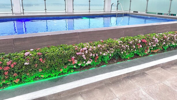 A rooftop pool with a glass balustrade, a flower bed with pink and green plants, and a view of the cityscape.