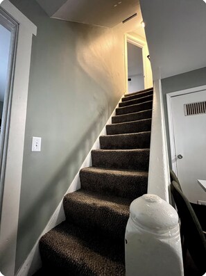 A staircase with carpeted steps leading to a door. - Welcome to Red and Ready! Pet Friendly. AC's in both bedrooms for comfort. (Springfield)