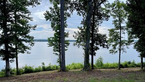 Eine natürliche Landschaft mit Bäumen und einem See.