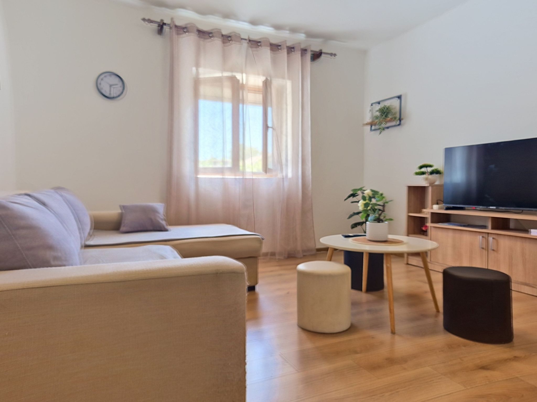 Una sala de estar con un sofá, un televisor, una mesita y una planta en maceta.