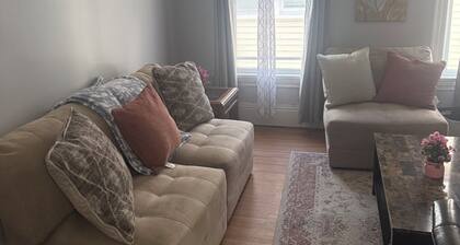 Modern 4BR in the Heart of Elmwood Village