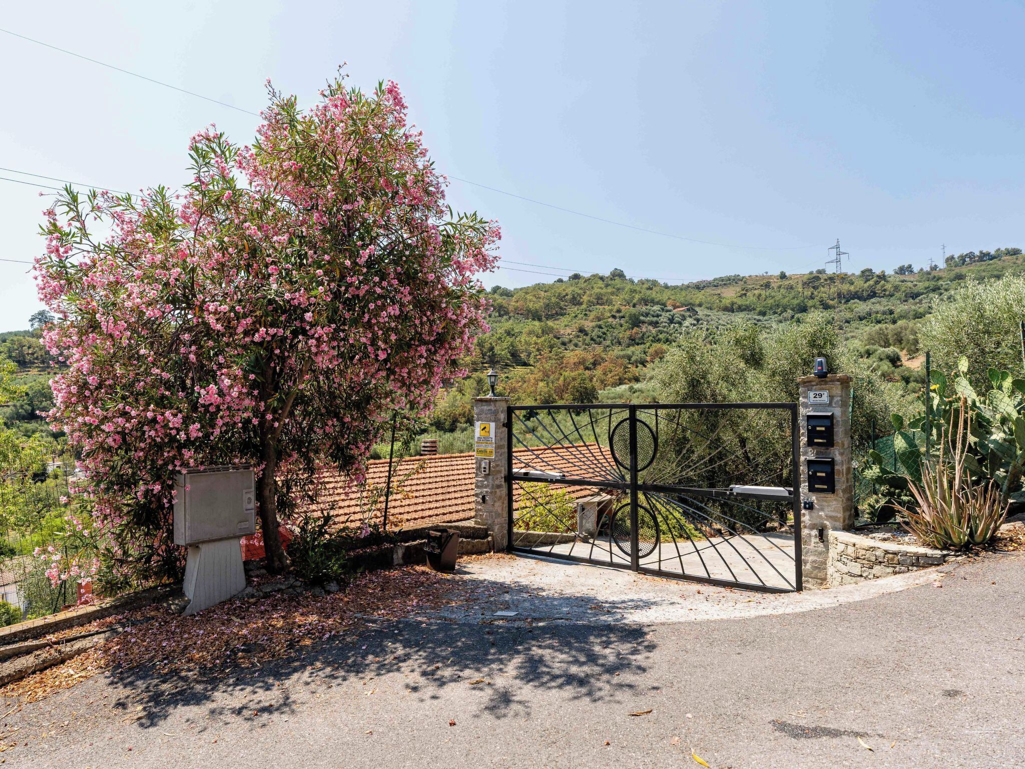 A gated entrance with a metal gate, a stone wall, and a tree with pink flowers.