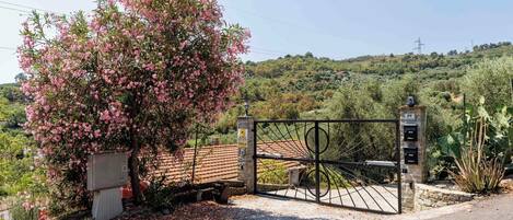 A gated entrance with a metal gate, a stone wall, and a tree with pink flowers.