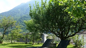 Dos sillones de descanso en un área cubierta de césped, con un árbol y una montaña al fondo.