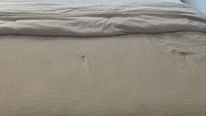A bed with a headboard, two pillows, and a blanket.