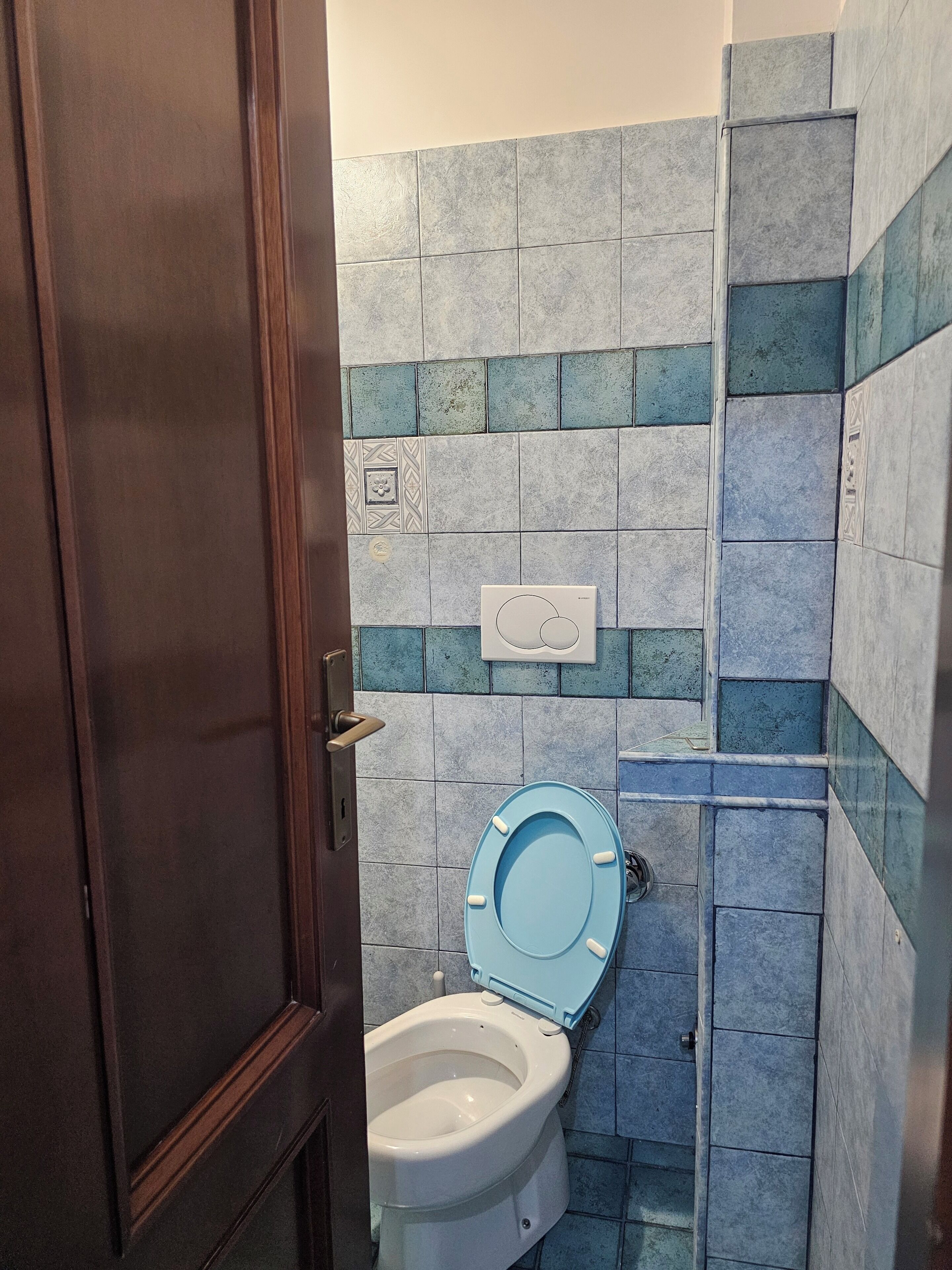 Une salle de bain avec des toilettes, une porte en bois et des murs carrelés.