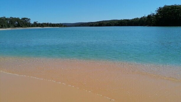 Una playa con agua cristalina, una orilla arenosa y un área boscosa al fondo.