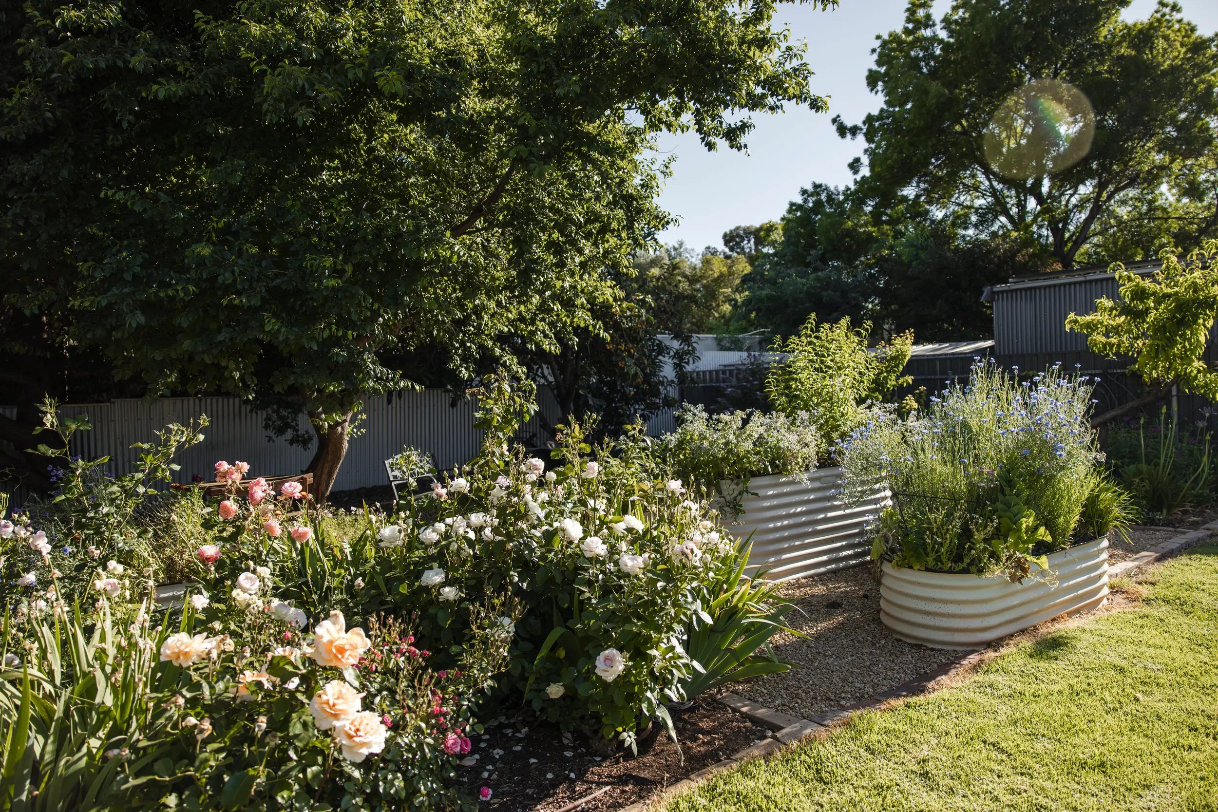 Um jardim com diversas plantas e flores, uma cerca de madeira e uma estrutura metálica ao fundo.