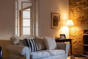 Smart-TV, Kamin